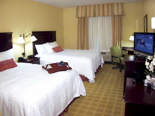 Hampton Inn Baton Rouge - Denham Springs Kamer foto
